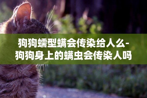 狗狗蠕型螨會傳染給人么-狗狗身上的螨蟲會傳染人嗎