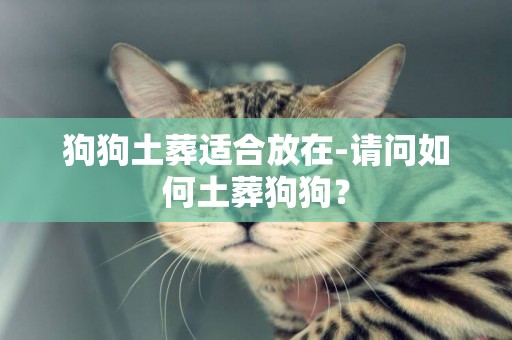 狗狗土葬適合放在-請問如何土葬狗狗？