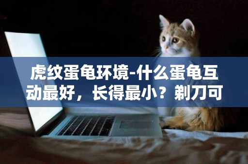 虎紋蛋龜環境-什么蛋龜互動最好，長得最小？剃刀可以長多大？