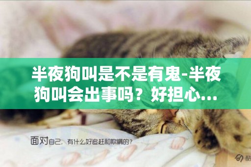 半夜狗叫是不是有鬼-半夜狗叫會出事嗎？好擔心…