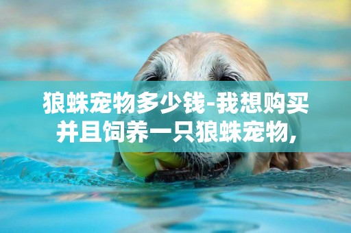 狼蛛寵物多少錢-我想購買并且飼養一只狼蛛寵物,