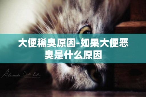 大便稀臭原因-如果大便惡臭是什么原因