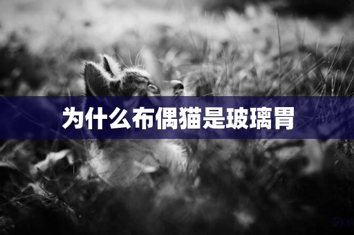 為什么布偶貓是玻璃胃