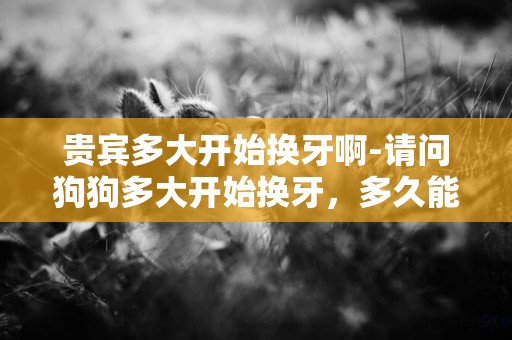貴賓多大開始換牙啊-請問狗狗多大開始換牙，多久能全部換完？