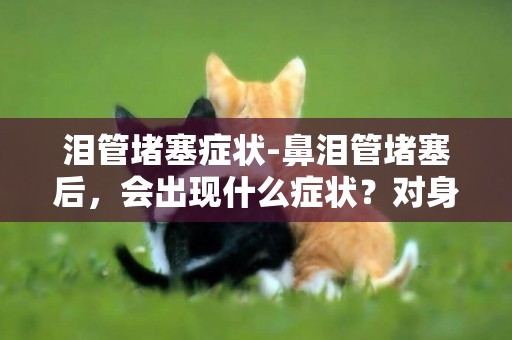 淚管堵塞癥狀-鼻淚管堵塞后，會出現什么癥狀？對身體有什么影響？
