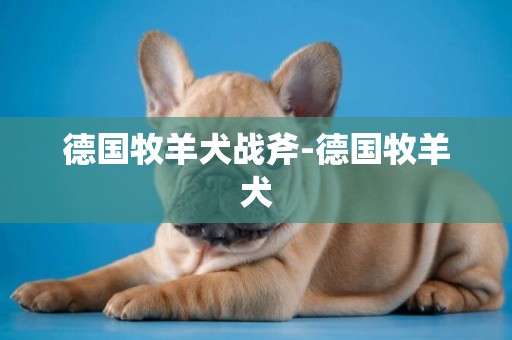 德國牧羊犬戰斧-德國牧羊犬