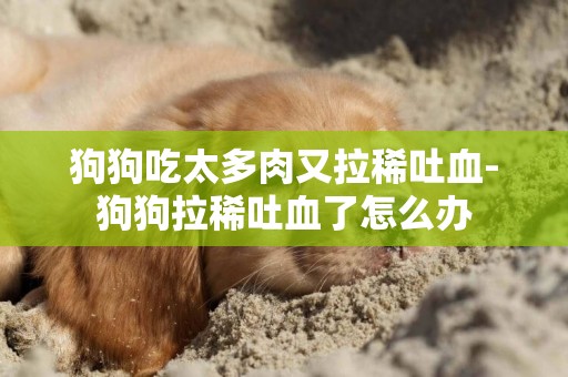 狗狗吃太多肉又拉稀吐血-狗狗拉稀吐血了怎么辦