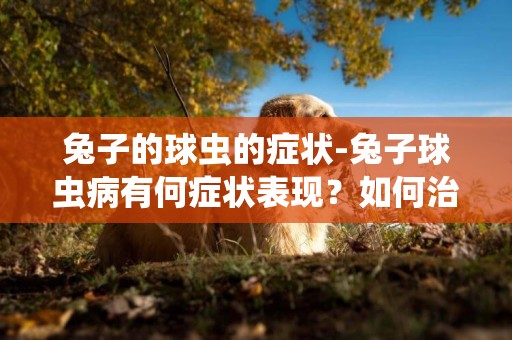 兔子的球蟲的癥狀-兔子球蟲病有何癥狀表現？如何治療？