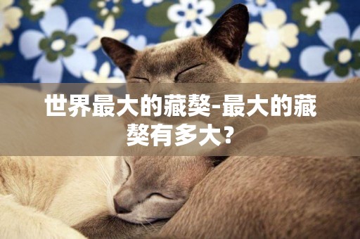 世界最大的藏獒-最大的藏獒有多大？