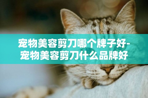 寵物美容剪刀哪個牌子好-寵物美容剪刀什么品牌好