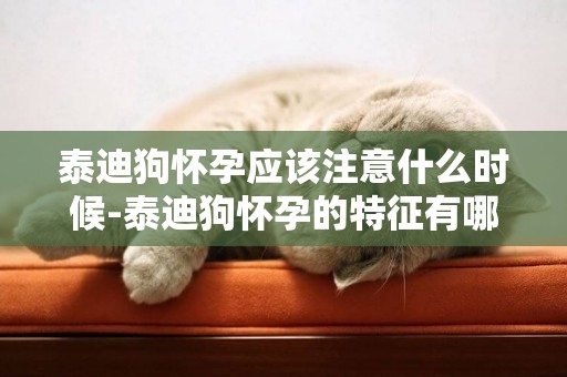 泰迪狗懷孕應該注意什么時候-泰迪狗懷孕的特征有哪些？