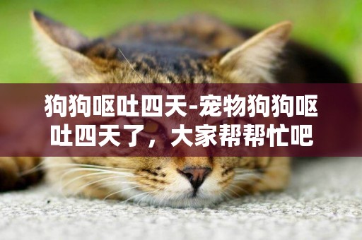 狗狗嘔吐四天-寵物狗狗嘔吐四天了，大家幫幫忙吧