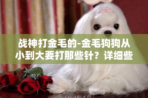 戰神打金毛的-金毛狗狗從小到大要打那些針？詳細些，謝謝！