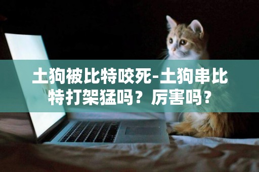 土狗被比特咬死-土狗串比特打架猛嗎？厲害嗎？