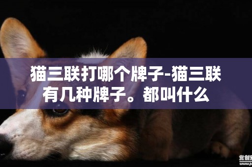 貓三聯打哪個牌子-貓三聯有幾種牌子。都叫什么