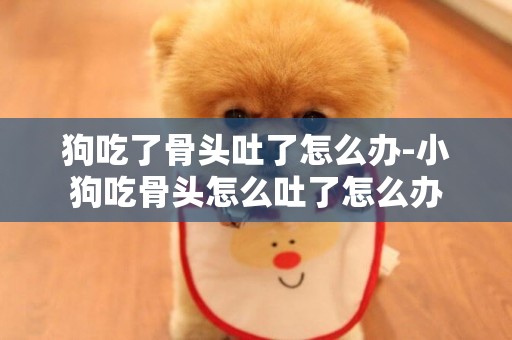 狗吃了骨頭吐了怎么辦-小狗吃骨頭怎么吐了怎么辦