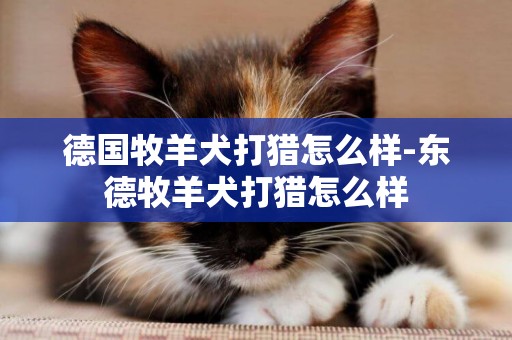 德國牧羊犬打獵怎么樣-東德牧羊犬打獵怎么樣