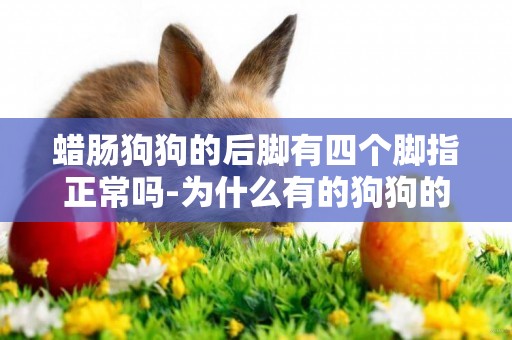 蠟腸狗狗的后腳有四個腳指正常嗎-為什么有的狗狗的后腳會有5個腳趾啊？