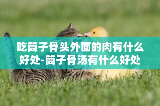 吃筒子骨頭外面的肉有什么好處-筒子骨湯有什么好處