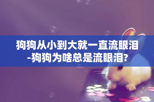 狗狗從小到大就一直流眼淚-狗狗為啥總是流眼淚?