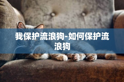我保護流浪狗-如何保護流浪狗