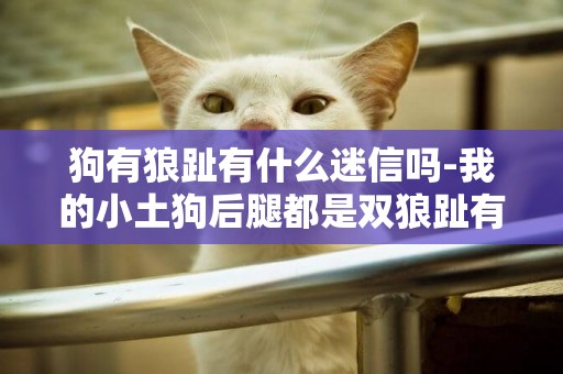 狗有狼趾有什么迷信嗎-我的小土狗后腿都是雙狼趾有什么說法嗎。