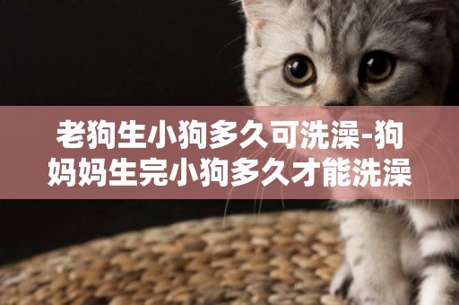 老狗生小狗多久可洗澡-狗媽媽生完小狗多久才能洗澡？
