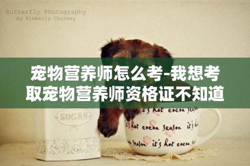 寵物營養師怎么考-我想考取寵物營養師資格證不知道何途徑，或者要求?