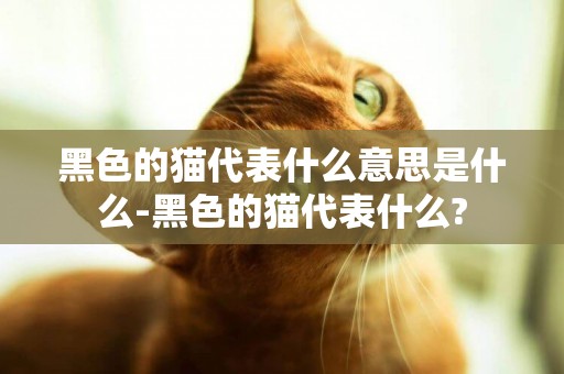 黑色的貓代表什么意思是什么-黑色的貓代表什么?