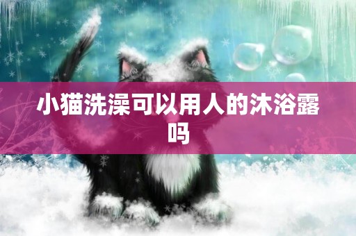 小貓洗澡可以用人的沐浴露嗎