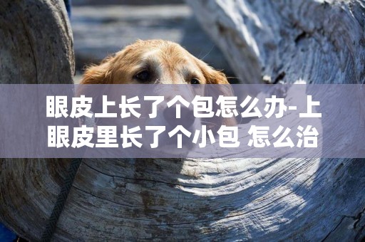眼皮上長了個包怎么辦-上眼皮里長了個小包 怎么治