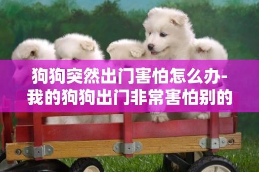 狗狗突然出門害怕怎么辦-我的狗狗出門非常害怕別的狗怎么辦?