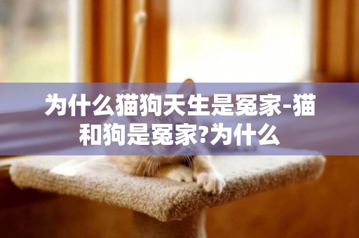 為什么貓狗天生是冤家-貓和狗是冤家?為什么