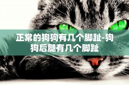 正常的狗狗有幾個腳趾-狗狗后腿有幾個腳趾