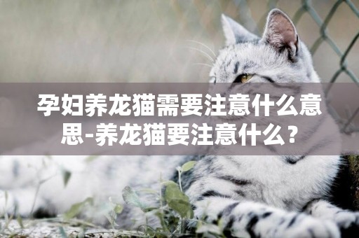 孕婦養龍貓需要注意什么意思-養龍貓要注意什么？