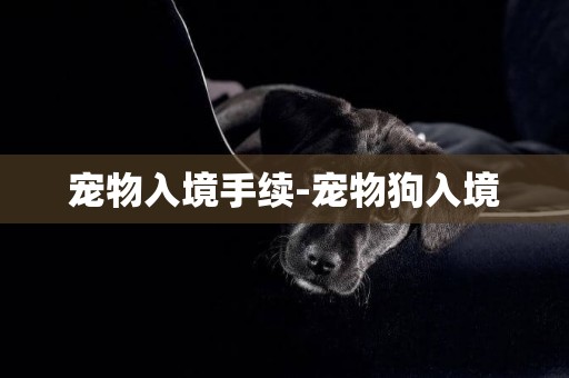 寵物入境手續-寵物狗入境