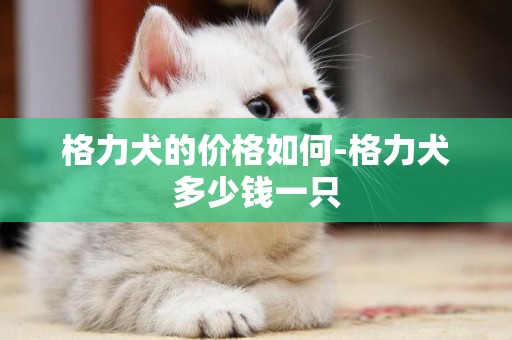 格力犬的價格如何-格力犬多少錢一只