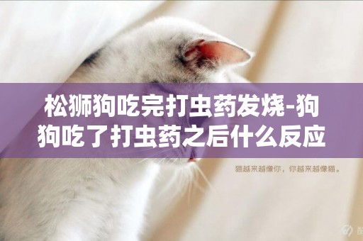 松獅狗吃完打蟲藥發燒-狗狗吃了打蟲藥之后什么反應