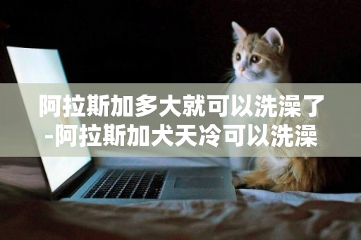 阿拉斯加多大就可以洗澡了-阿拉斯加犬天冷可以洗澡嗎