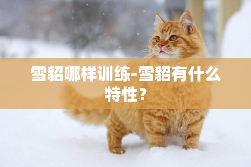 雪貂哪樣訓練-雪貂有什么特性？
