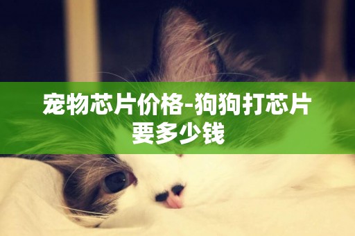 寵物芯片價格-狗狗打芯片要多少錢