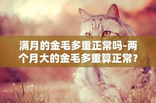 滿月的金毛多重正常嗎-兩個月大的金毛多重算正常？