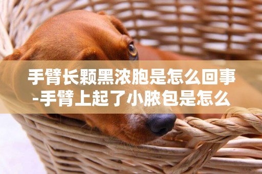 手臂長顆黑濃胞是怎么回事-手臂上起了小膿包是怎么回事