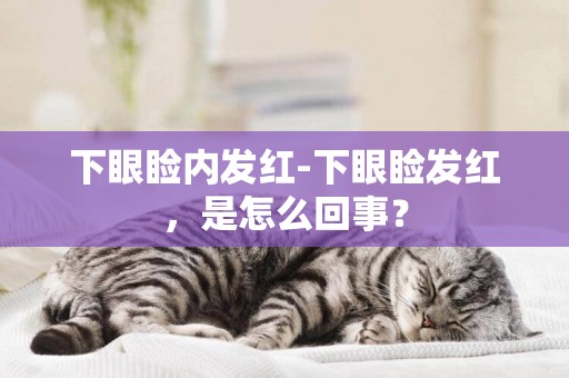 下眼瞼內發紅-下眼瞼發紅，是怎么回事？