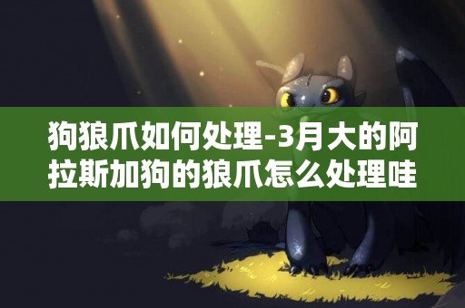 狗狼爪如何處理-3月大的阿拉斯加狗的狼爪怎么處理哇？