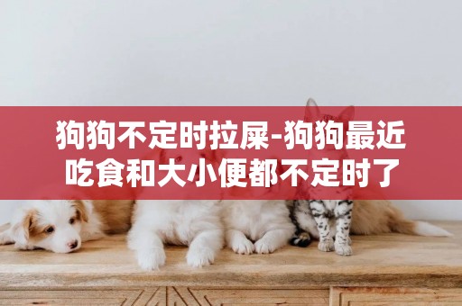 狗狗不定時拉屎-狗狗最近吃食和大小便都不定時了