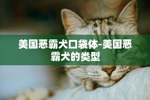 美國惡霸犬口袋體-美國惡霸犬的類型
