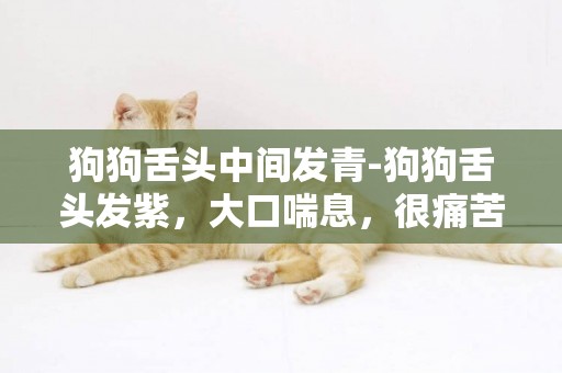 狗狗舌頭中間發青-狗狗舌頭發紫，大口喘息，很痛苦，怎么辦？