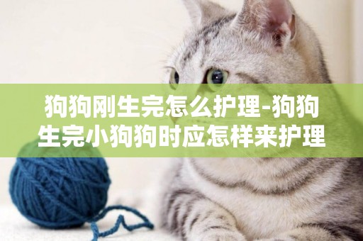 狗狗剛生完怎么護理-狗狗生完小狗狗時應怎樣來護理呢?