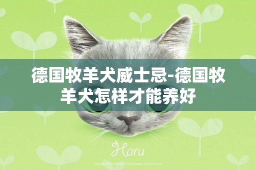 德國牧羊犬威士忌-德國牧羊犬怎樣才能養好